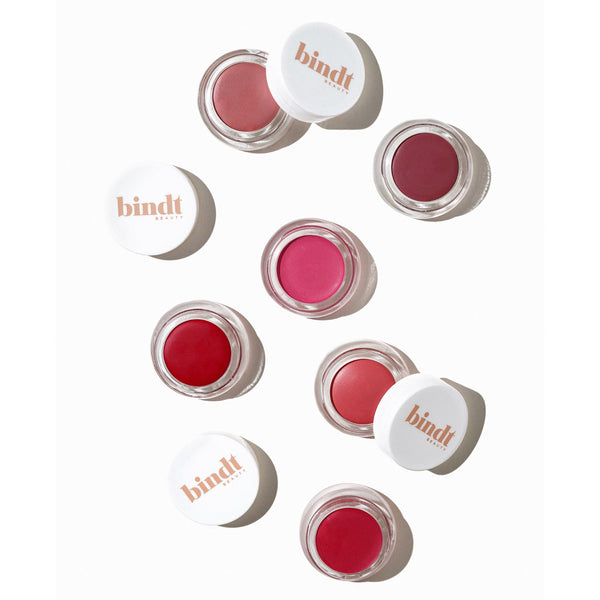 COMBO - A Touch of Colour Multi - Use Tints + Blending in Dual Brush