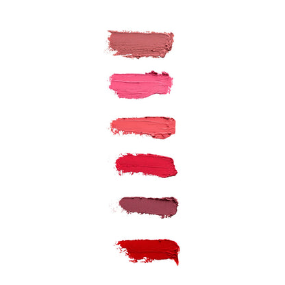 COMBO - A Touch of Colour Multi - Use Tints + Blending in Dual Brush