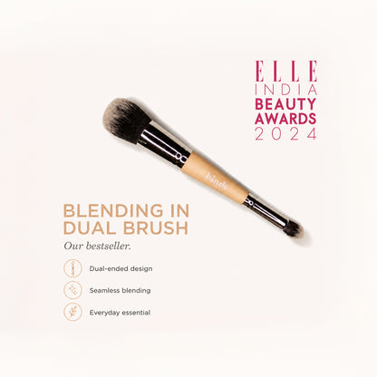 Blending In Dual Brush