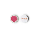 COMBO - A Touch of Colour Multi - Use Tints + Blending in Dual Brush